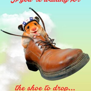 Daredevil Hamster volant chaussure Encouragement carte