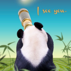 Panda Sternschnuppe mit Spyglass Ermutigung Karte ansehen