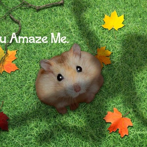 Hamster rigolo pensant vous carte de voeux : vous m’étonner
