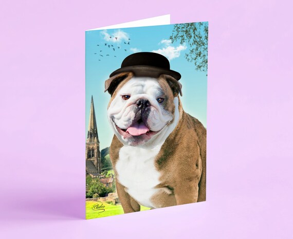 Bulldog e Bububu datazione