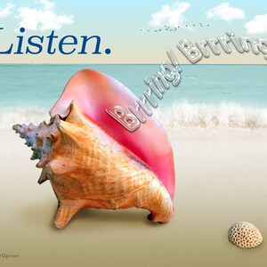 Conch Shell Sandy Beach Card Inspirational