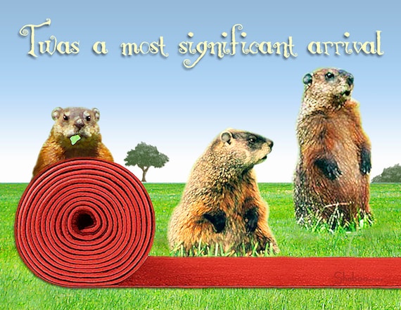 Carte Danniversaire Drole Marmotte Tapis Rouge Bienvenue Etsy Carte Danniversaire Drole Marmotte Tapis Rouge Bienvenue Etsy