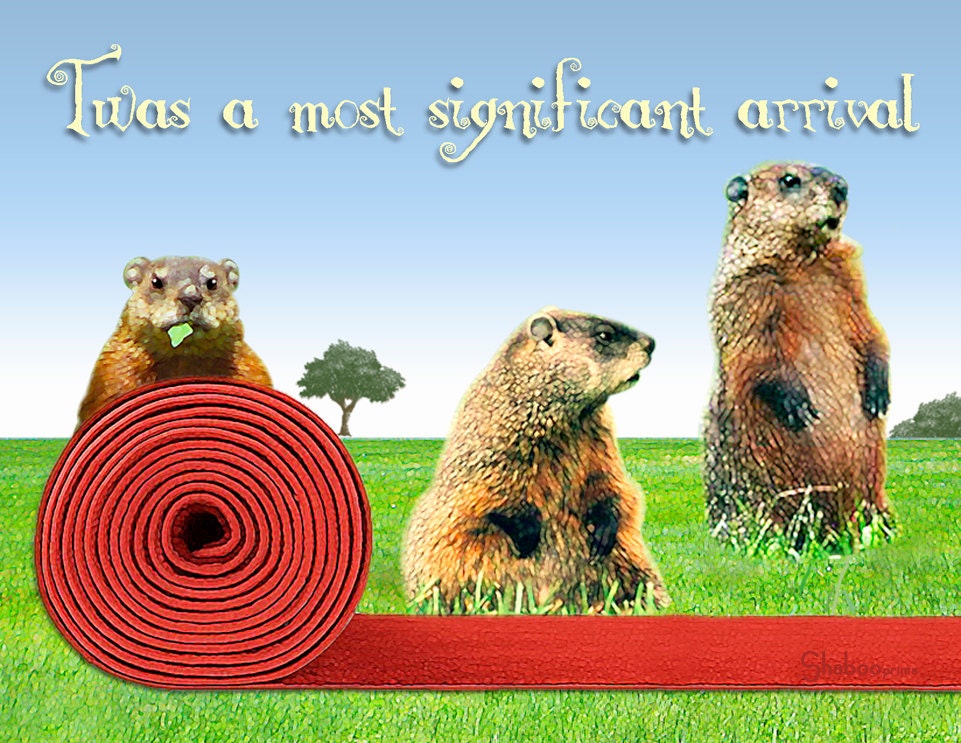 Carte Danniversaire Drole Marmotte Tapis Rouge Bienvenue Etsy Carte Danniversaire Drole Marmotte Tapis Rouge Bienvenue Etsy
