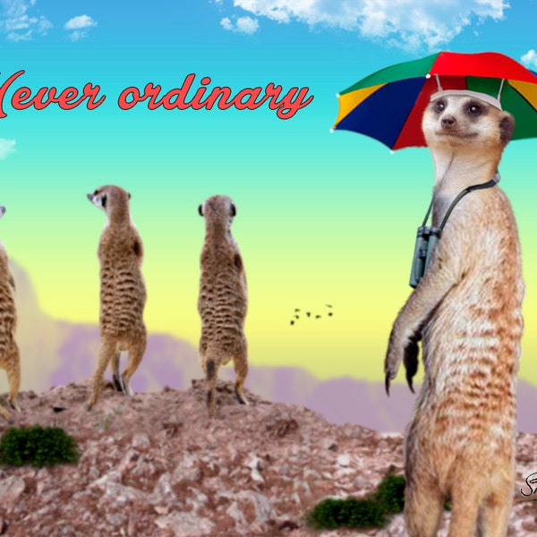 Meerkat with Umbrella Hat Birthday Card: Never Ordinary