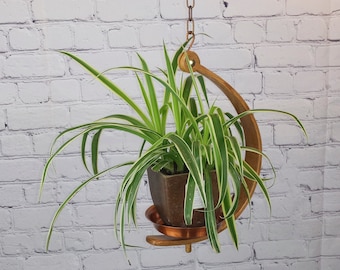 Adjustable Wooden and Copper Plant Hanger, Bentwood Indoor Plant Display, Oak Wood and Copper Dish with Chain, Wood Plant Hanging