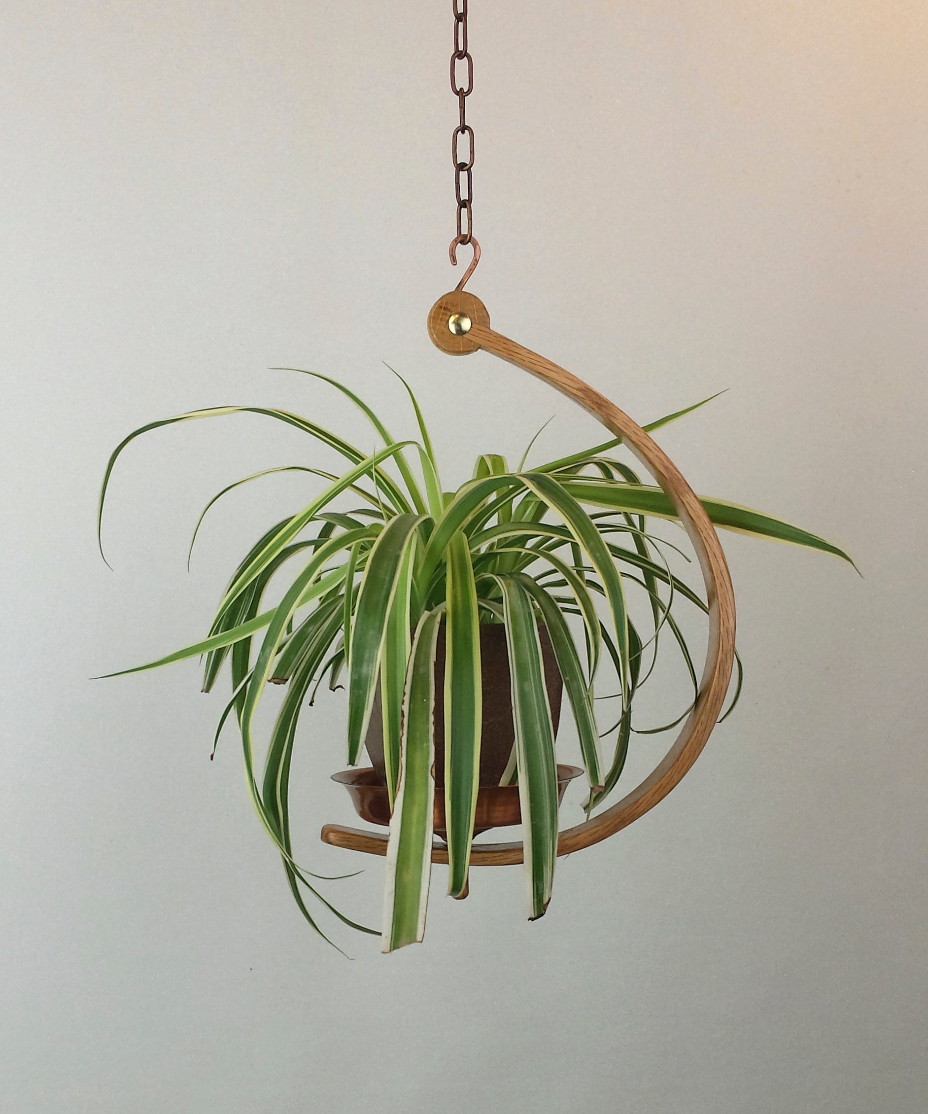Hanging Plant Hooks 