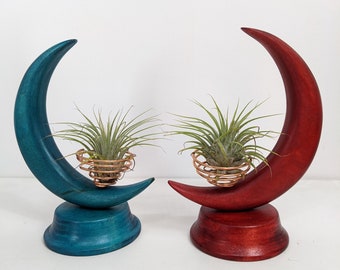 Colorful Moon Air Plant Holder, Nature-Inspired Wooden Plant Display for Windowsill, Shelf, Desk, Versatile Home Decor, Plant Lover Gift