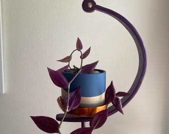 Steambent Wooden Plant Holder, Window Moon Shaped Plant Hanger, Curved Indoor Plant Display Purple Red Blue