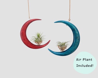 Colorful Hanging Moon Air Plant Holder, Wooden Air Plant Hanger Gift For Her Plant Lover Boho Air Plant Holder Decor
