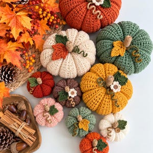 May include: A collection of crocheted pumpkins in various sizes and colors including orange, green, yellow, cream, brown, and pink. Each pumpkin features a jute stem, a green crocheted leaf, a curly vine, and some include small wooden flower buttons.