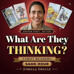 May include: A promotional graphic for a tarot reading service featuring four tarot cards: The High Priestess, Two of Cups, Six of Cups, and Knight of Cups. Text reads: ANSWER FIRST NO FOG, What Are They THINKING?, TAROT READING, SAME HOUR, SYBELLA ORACLE.