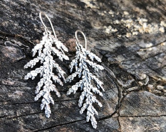 Sterling silver earrings, nature themed jewelry, organic design, cedar earrings, beeswax, Maine Made, minimalist jewelry, tree, forest