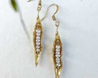 Golden peapod with wee white fresh water pearls, brass earrings