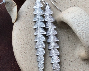 Maine Made, Sweet fern, recycled silver earrings