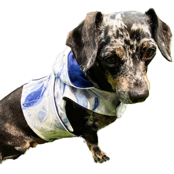 Chiweenie Clothes Etsy