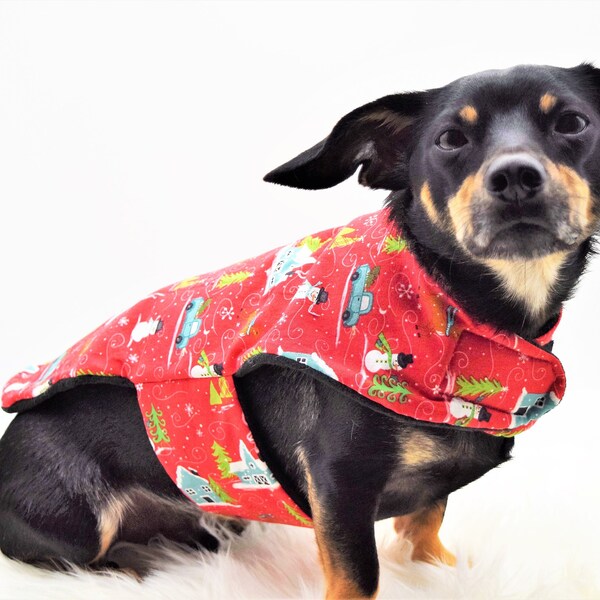 Chiweenie Clothes Etsy
