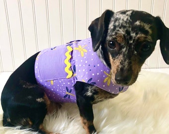 best harness for chiweenie