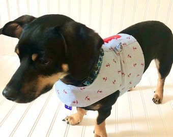 best harness for chiweenie