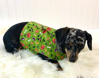 best harness for chiweenie