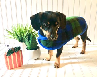 chiweenie sweater