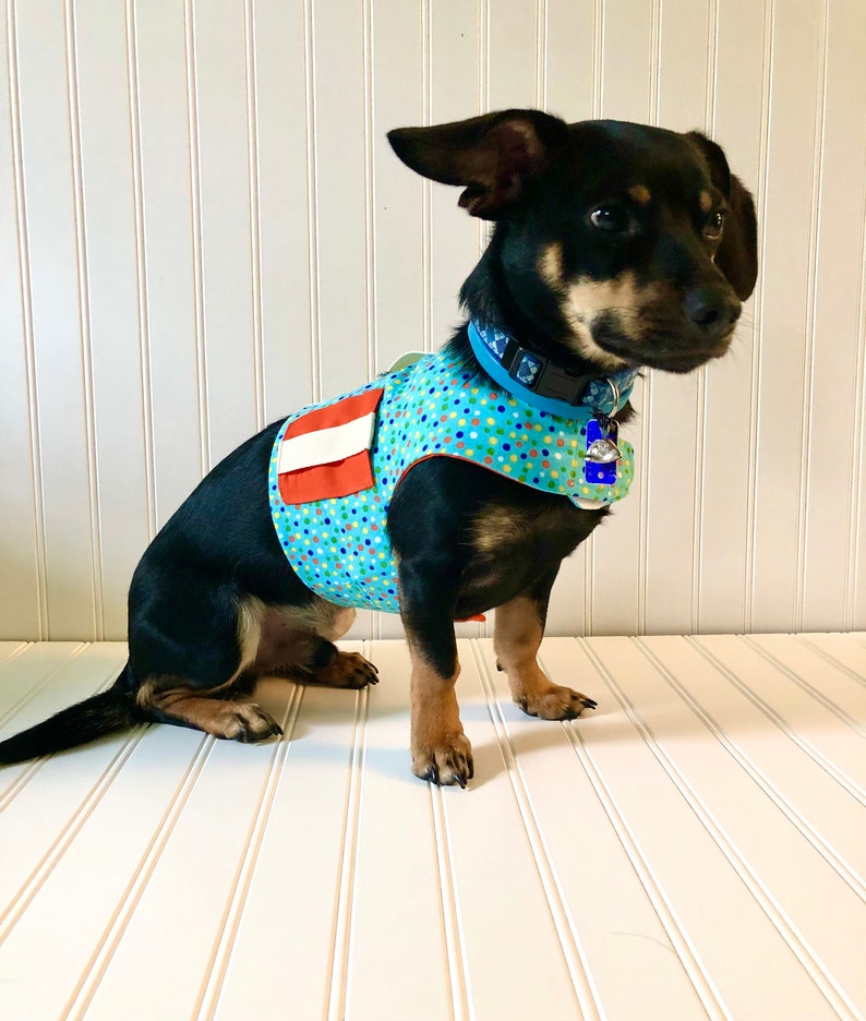 Dachshund Harness Vest Chiweenie Clothes Chihuahua Walking Etsy