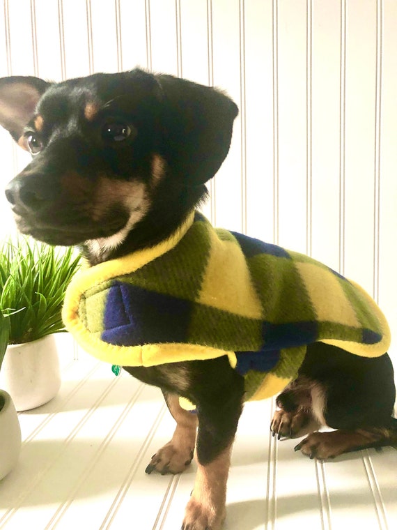 chiweenie dog clothes