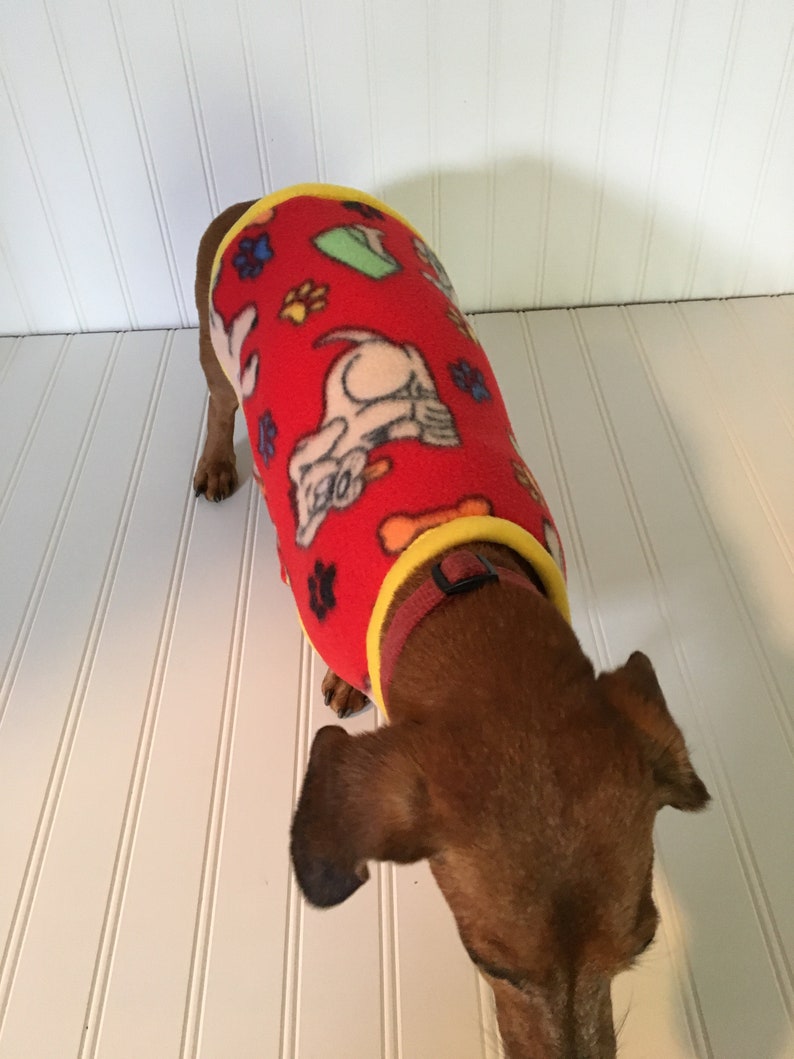 chiweenie sweater