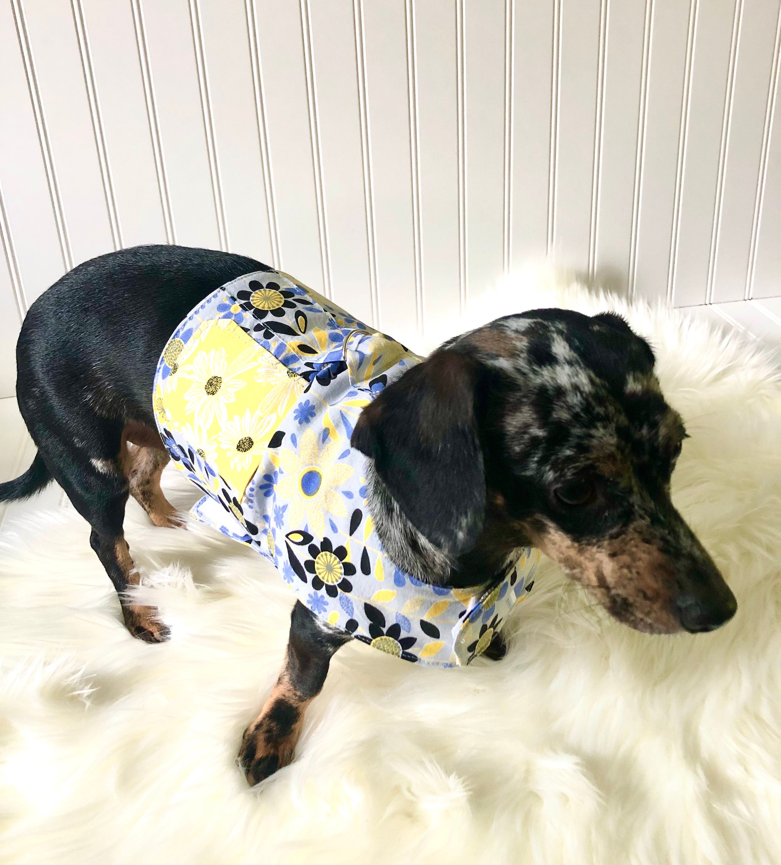 Dachshund Harness Vest Chiweenie Clothes Chihuahua Walking Etsy UK