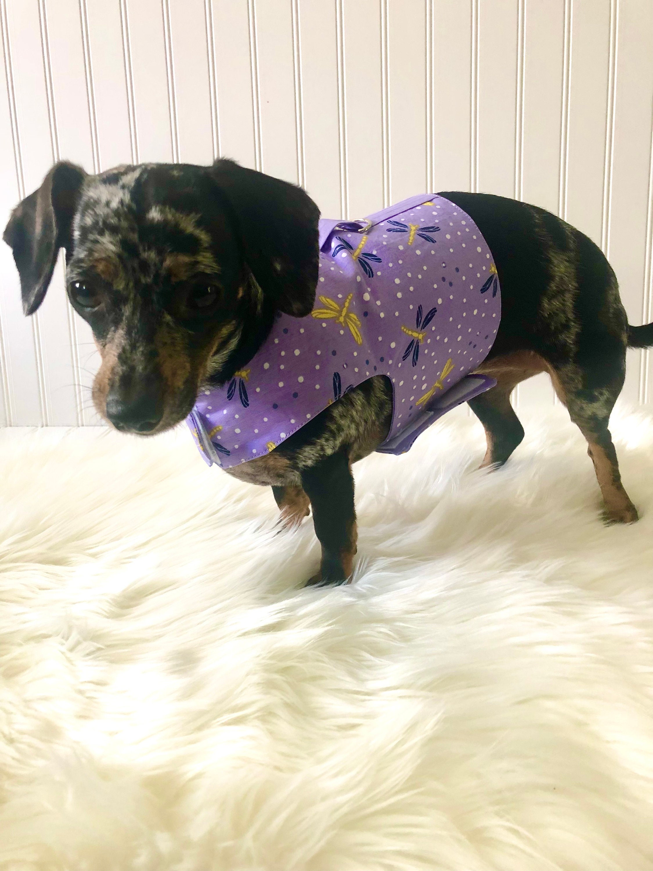 Dachshund Harness Vest Chiweenie Clothes Chihuahua Walking Etsy