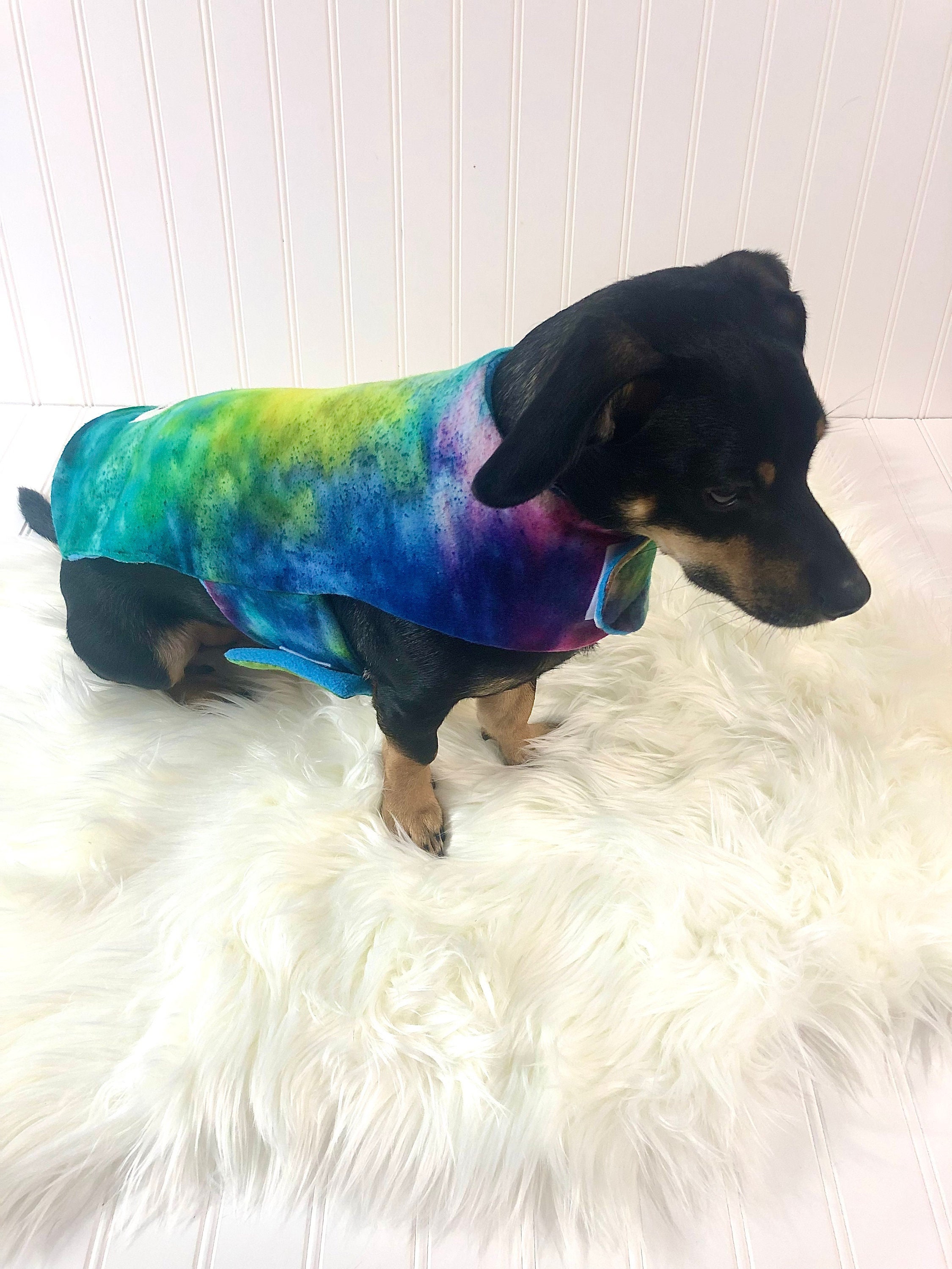 chiweenie clothes