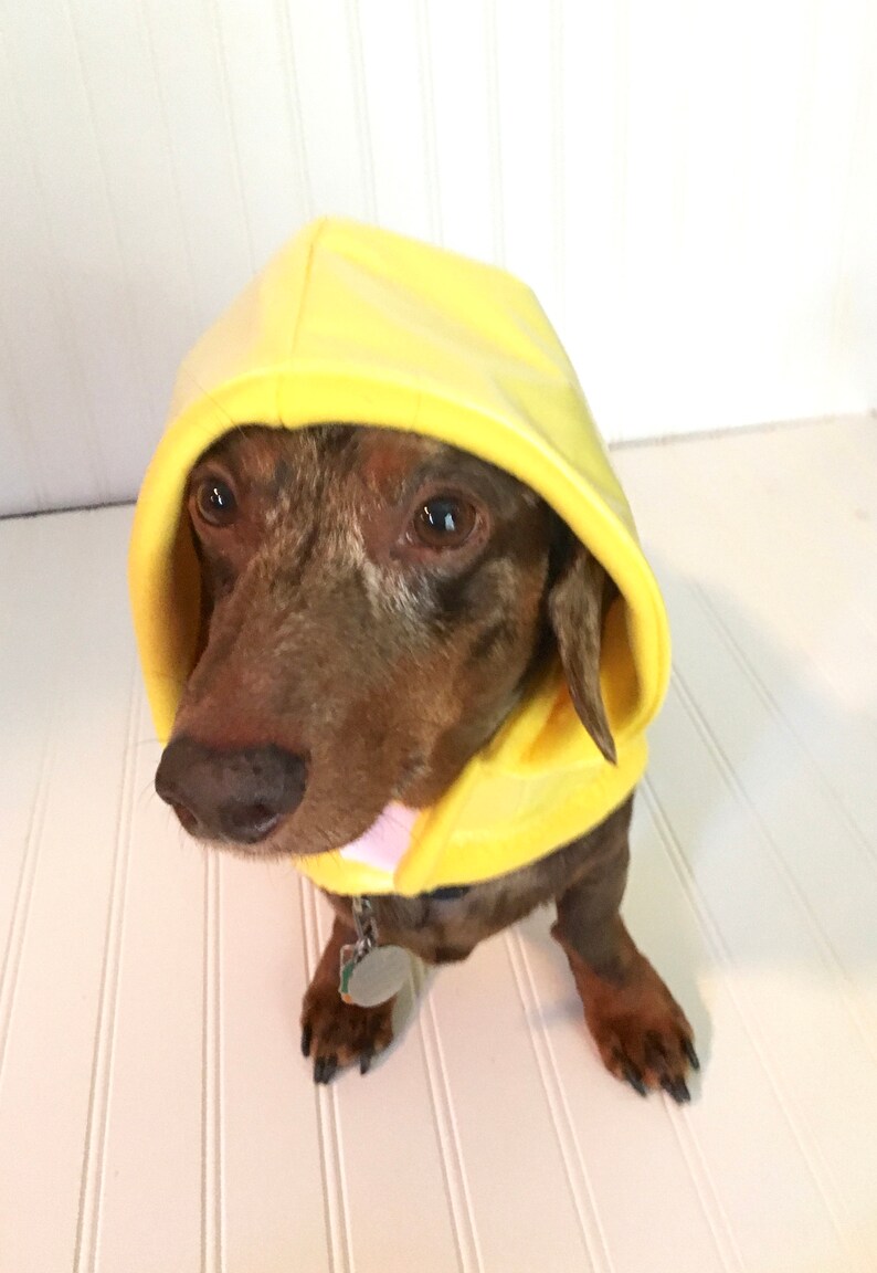 Mini Dachshund Clothes Waterproof Dog Coat Pet Supplies Etsy