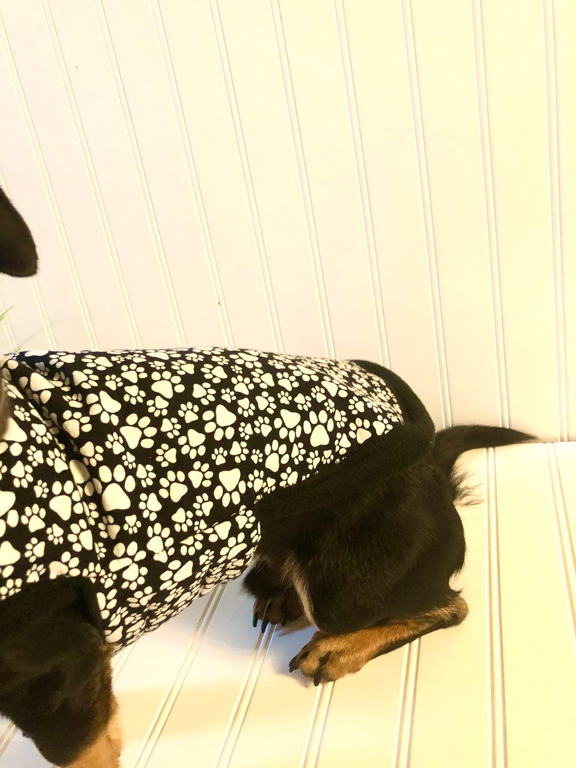 Miniature Dachshund Clothes Small Dog Jacket Dachshund Pajamas Etsy