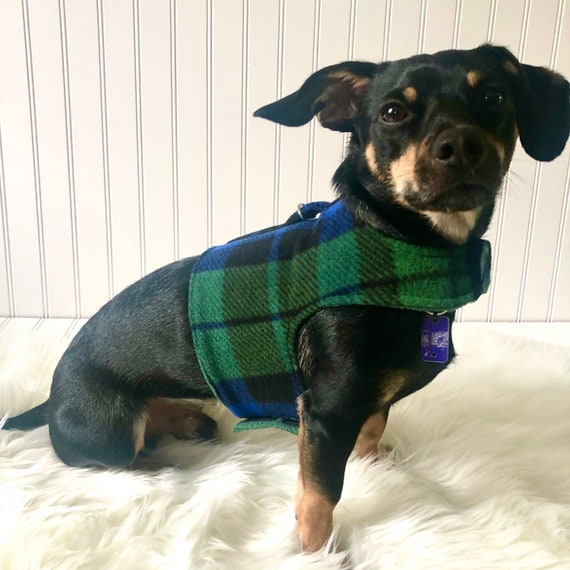 chiweenie dog clothes