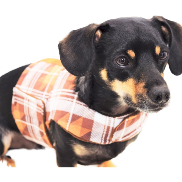 Chiweenie Clothes Etsy