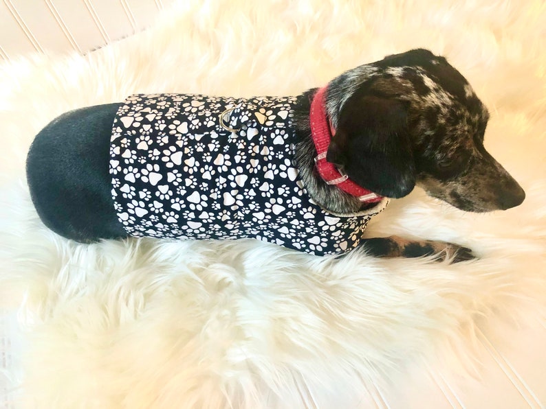 Dachshund Harness Vest Chiweenie Clothes Chihuahua Walking Etsy