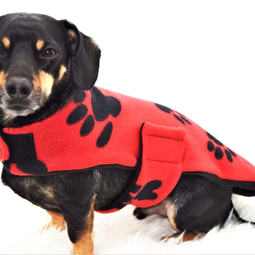 chiweenie apparel