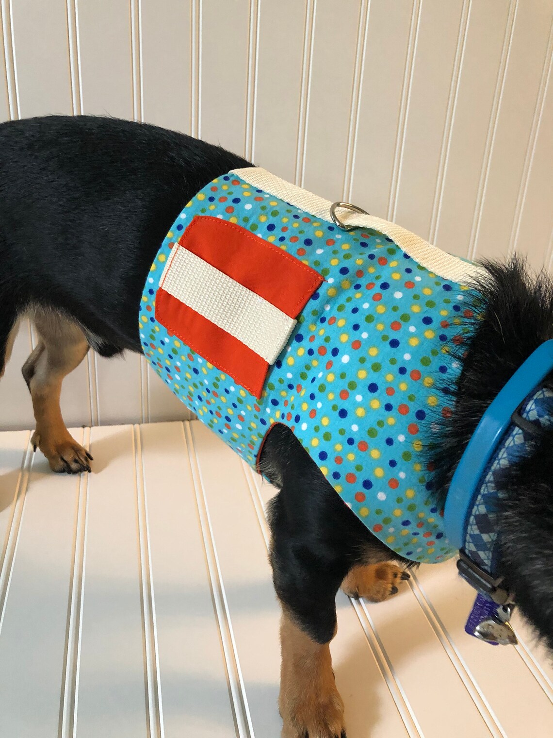 Dachshund Harness Vest Chiweenie Clothes Chihuahua Walking Etsy