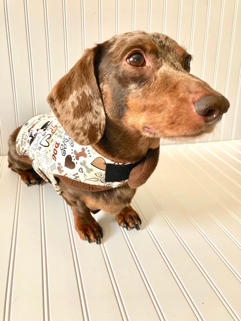 Fall Miniature Dachshund Clothes Dachshund Sweater Dachshund Etsy