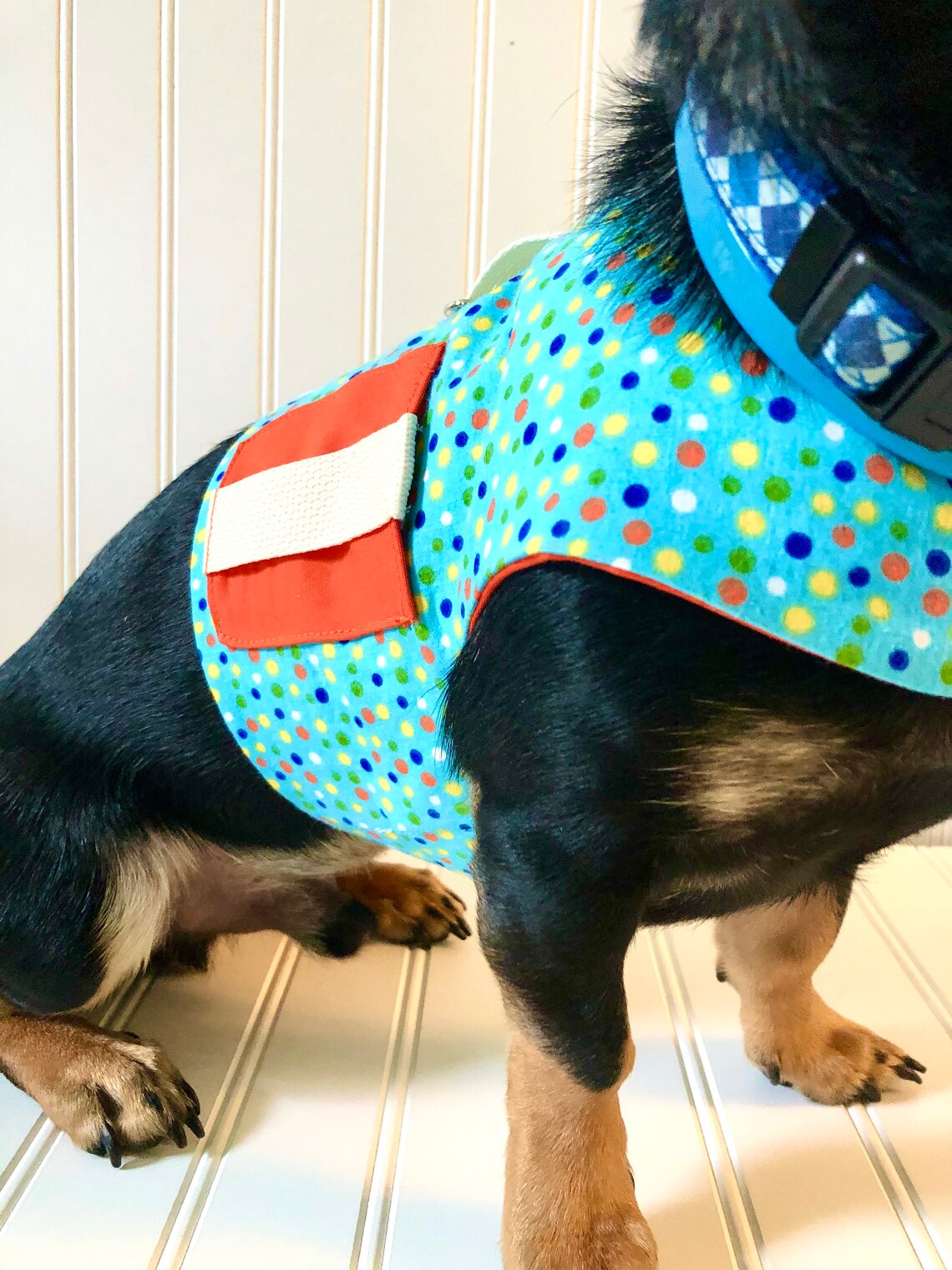 Dachshund Harness Vest Chiweenie Clothes Chihuahua Walking Etsy