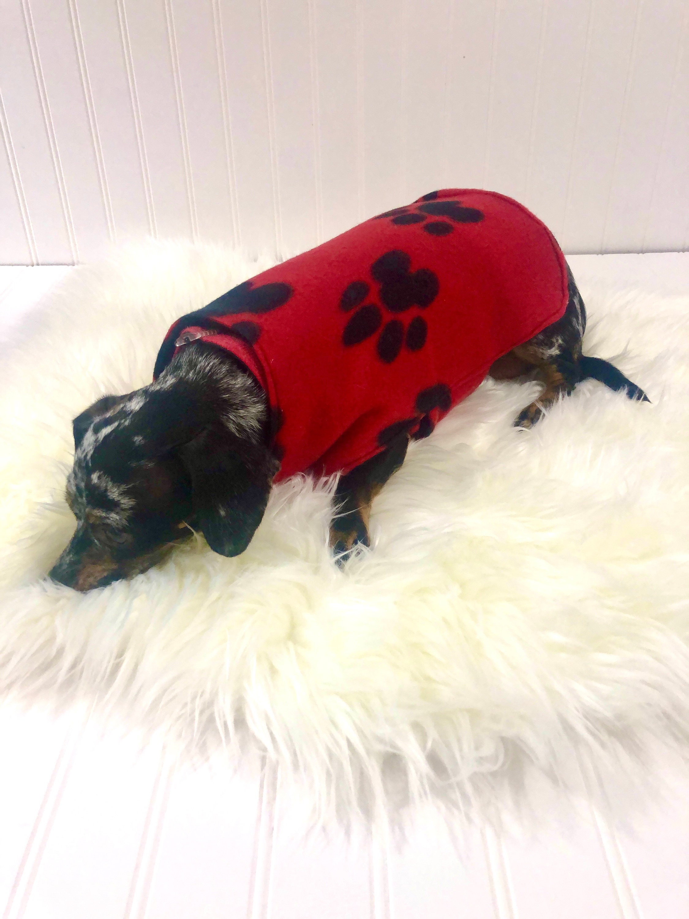 chiweenie apparel