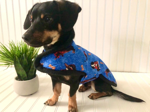 mini dachshund clothes