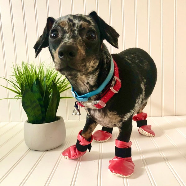 Dachshund Winter Waterproof Boots, Pet Warm Outerwear, Chiweenie Rain Clothes, Chihuahua Rainwear, Dog Footwear, Small Pet Accessories