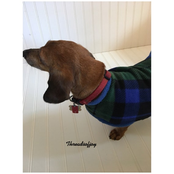 miniature dachshund clothes