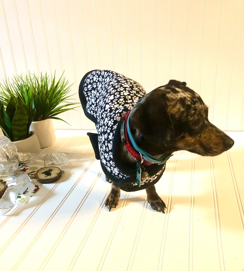 Miniature Dachshund Clothes Small Dog Jacket Dachshund Pajamas Etsy