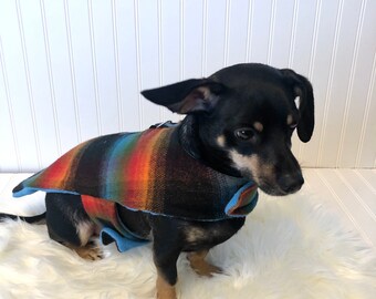 best harness for chiweenie