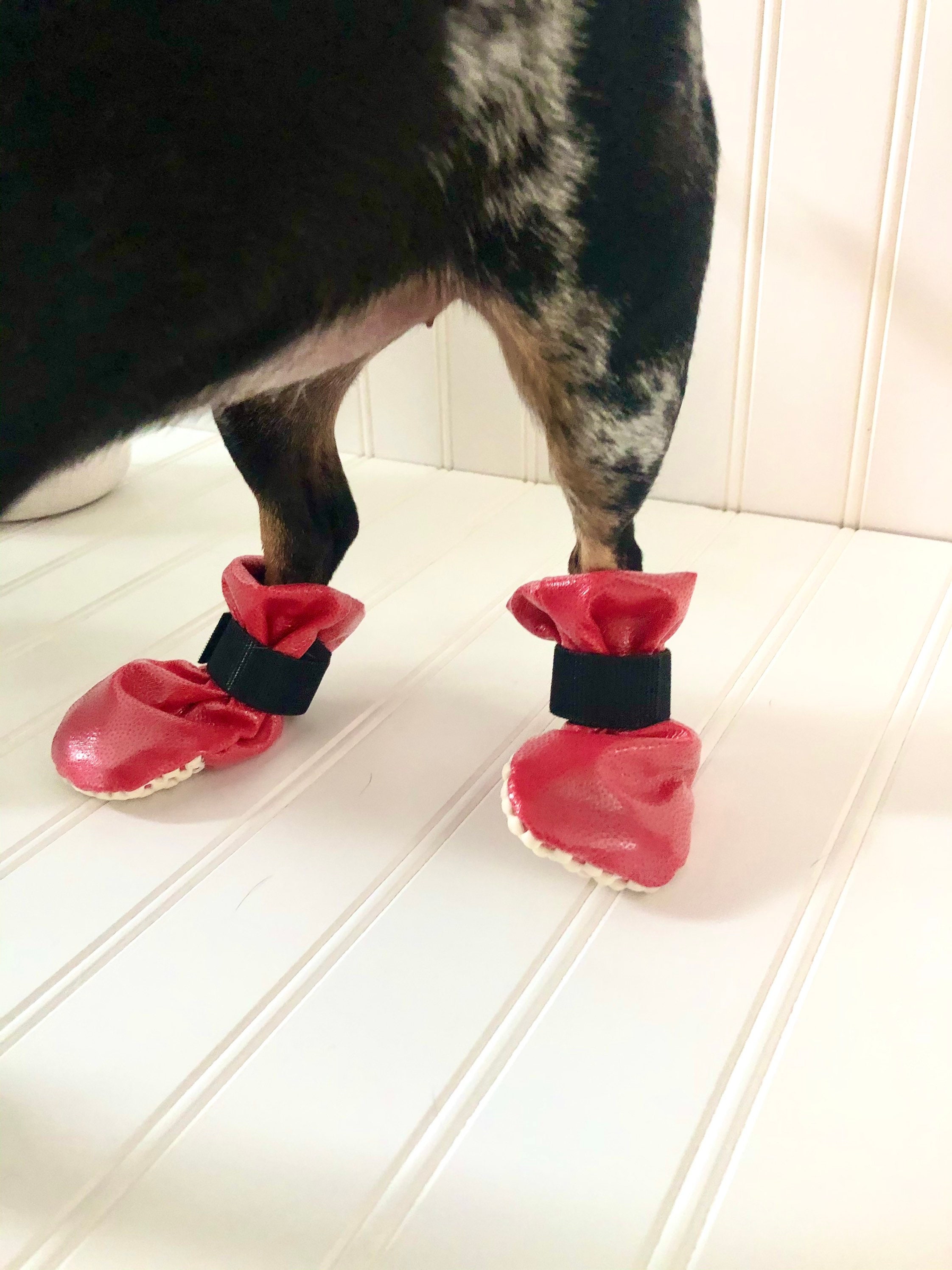 Dachshund Winter Waterproof Boots Pet Warm Outerwear Chiweenie
