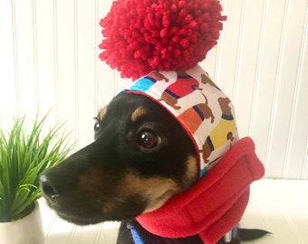 chiweenie dog clothes
