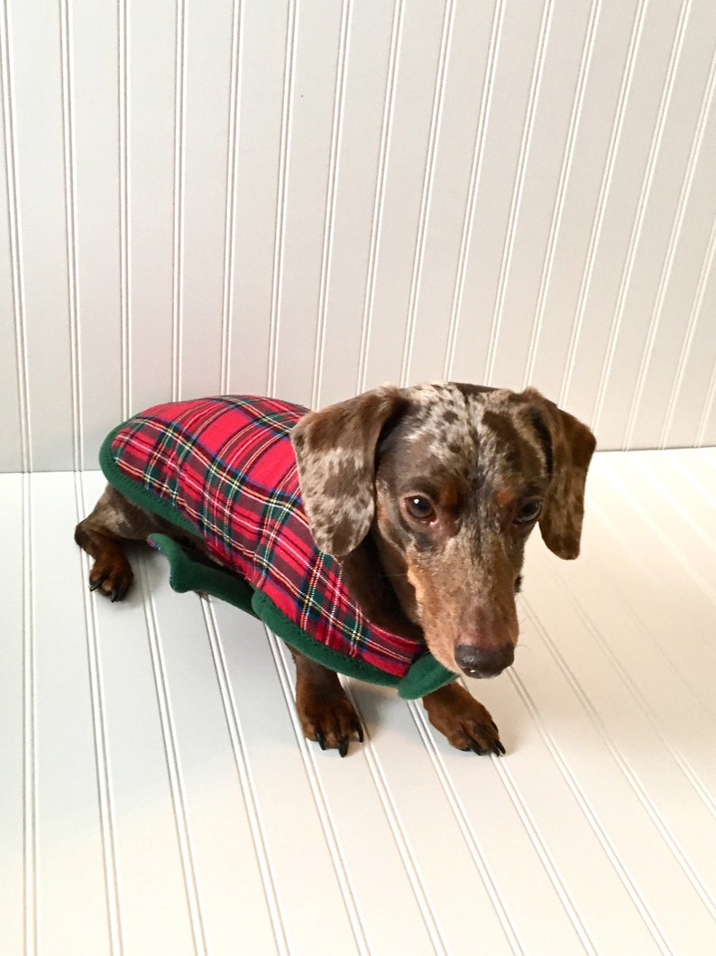 dachshund clothes for dogs