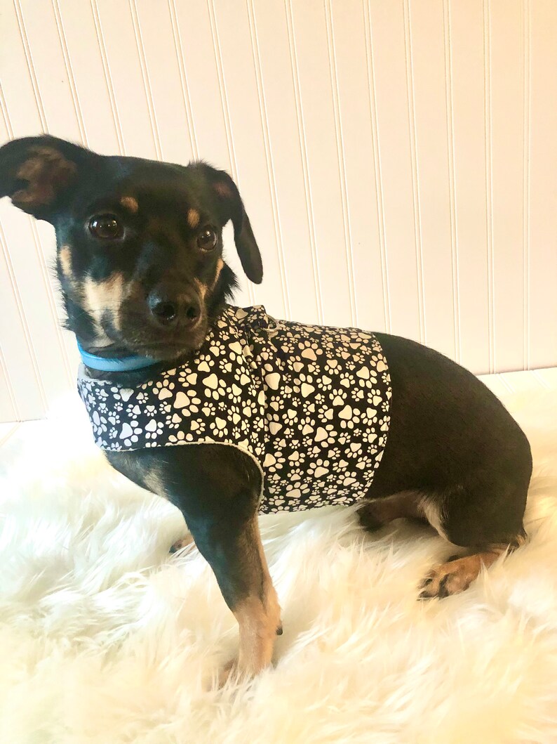 chiweenie apparel