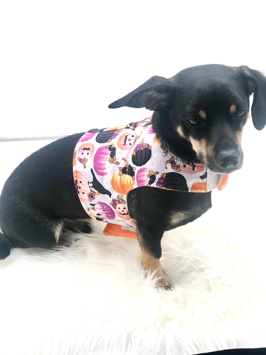 Dachshund Harness Vest Halloween Dog Harness Chiweenie Etsy